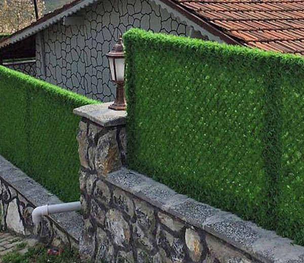 Blog Detail Gallery Image 2